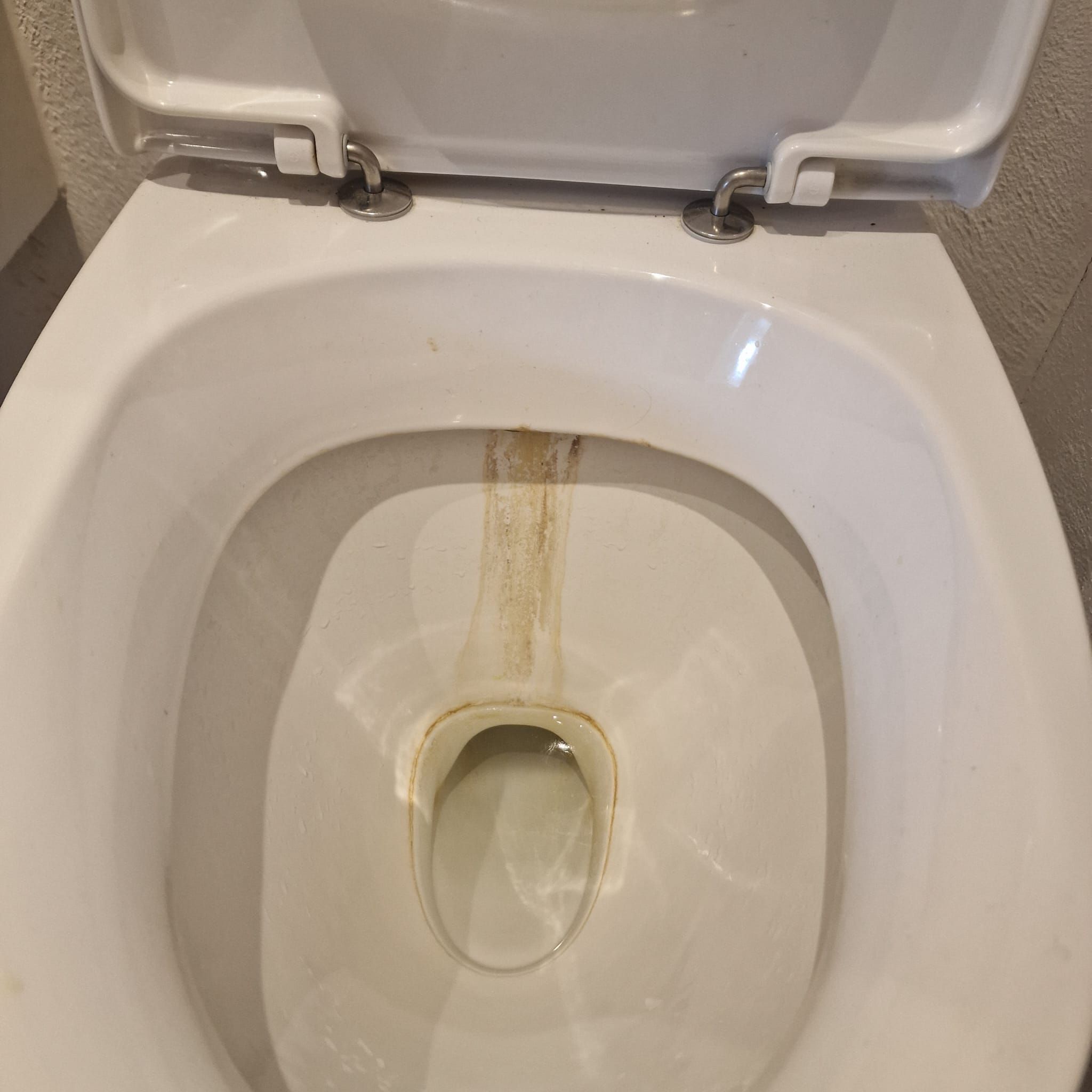 Toiletkumme med kalkbelægninger før rengøring